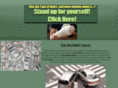 caraccidentinjury.net