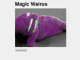 magicwalrus.com
