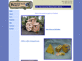 woodtechgifts.com