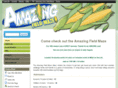 amazingcornmaze.ca