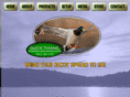 duckthang.com