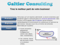 galtier-consulting.com