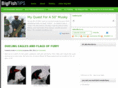 bigfishtips.com