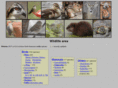 chipmunkvideos.com