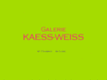 galeriekaessweiss.com