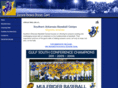muleridersbaseballcamps.com