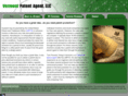 vermontpatentagent.com