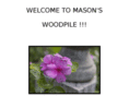 masonswoodpile.com