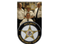 securityenforcementchicago.com