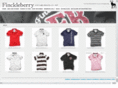 finckleberry.com