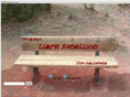 liarsrebellion.com