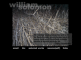 williamsolomon.com