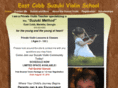 eastcobbsuzukiviolin.com