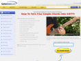 guitarzoom.com