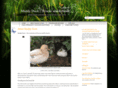 muddy-duck.co.uk