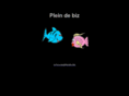 pleinde.biz