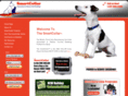 thesmartcollar.com