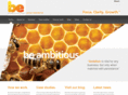businessevolution.co