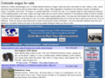 coloradoangus.com