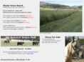 shadygroveranch.com