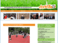 strassenfussballliga.org