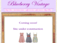 blueberryvintage.com