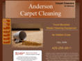 carpet-cleaning-service-bellevue.com