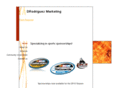 drodriguezmarketing.com