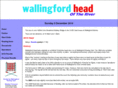 headrace.com