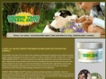shiningtimesaustin.com