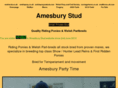 amesburyponies.com