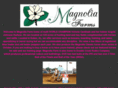magnoliabarrelhorses.com