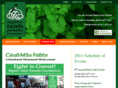 mysticirishparade.org