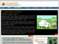 orangesnail.com