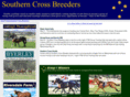 southerncrossbreeders.com