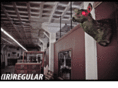 theirregularlife.com