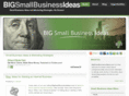 bigsmallbusinessideas.com