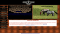 centralazequine.com