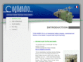 cogliandro.com