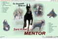 sk-mentor.ru