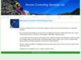 sunnerconsulting.com