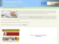 thousandhits.com