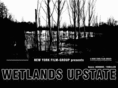 wetlands-upstate.com