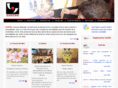 cantek.net