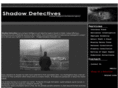 privatedetectivedublin.com