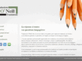 traductionsoneill.com
