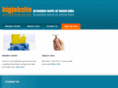 bigjobsite.net