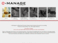 e-manage-inc.com