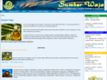 sumberwaja.com