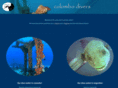 colombodivers.com